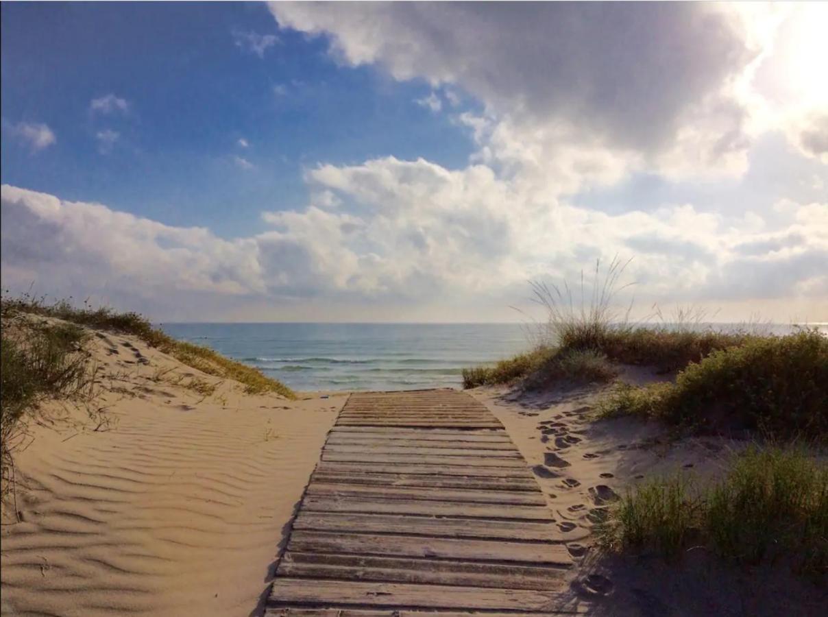 Apartamento Nuevo En La Playa- Met- Oliva Nova Golf Eksteriør bilde